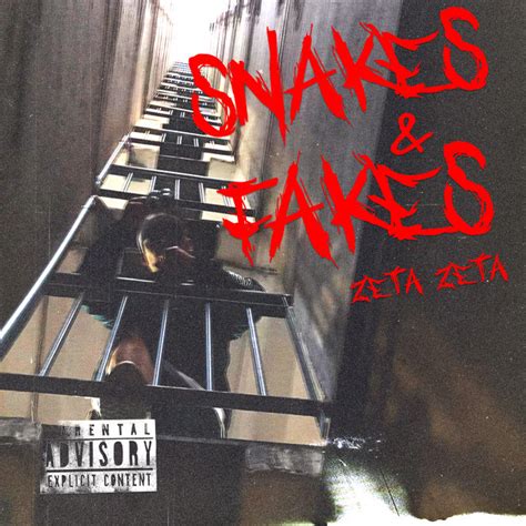 The Meaning Behind The Song: Snakes and Fakes by ZetaZeta